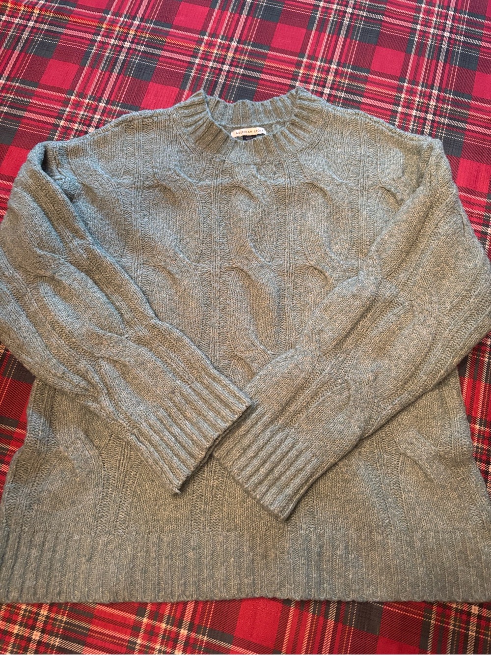 American Eagle Outfitters Green Cable-Knit Crewneck Sweater
